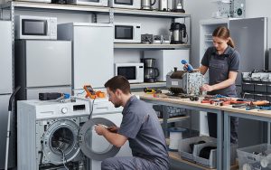 Manteniment d'electrodomèstics (Programa FOAP)